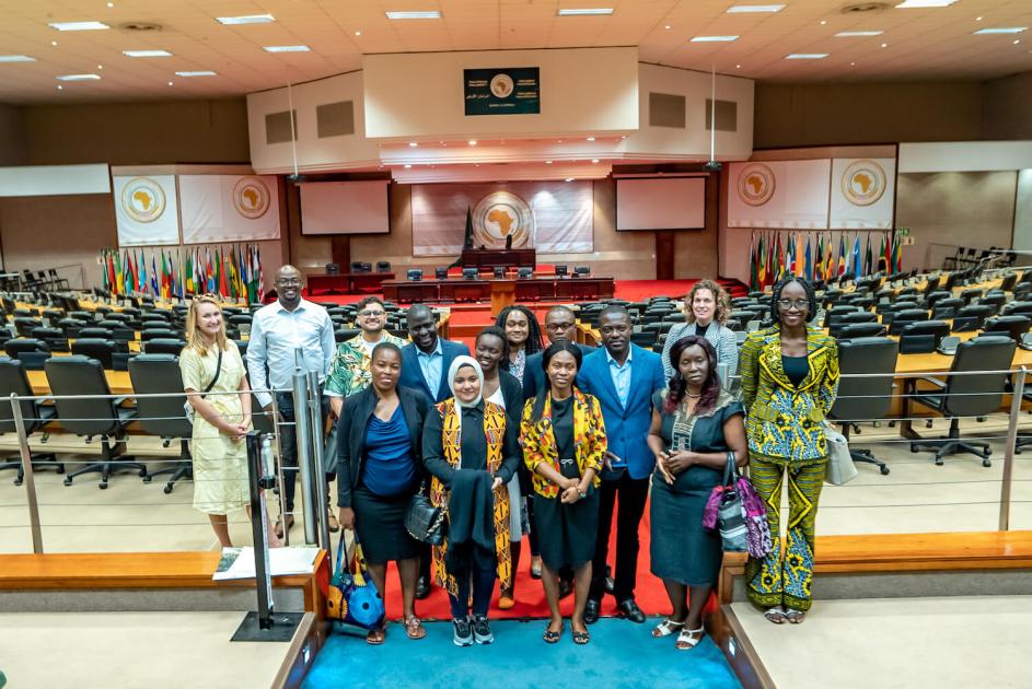 African Union Media Fellows African media