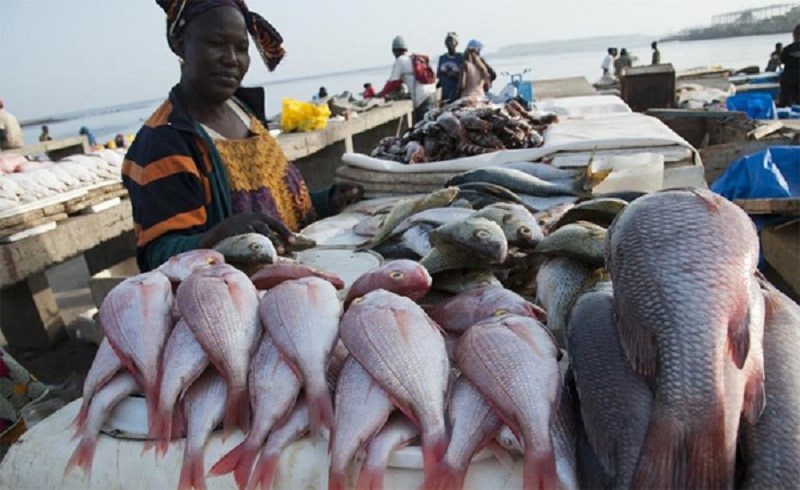 African market for fishery