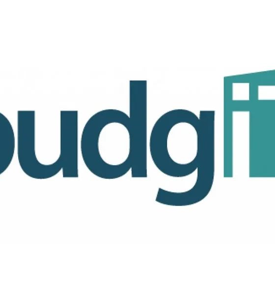 BudgIT 40-year bonds