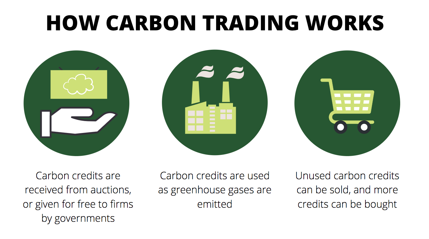 Image showcasing NGX Develops Framework For Certifications In Carbon Credits Trading ...