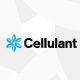 Cellulant's Payment Service Solution Provider License
