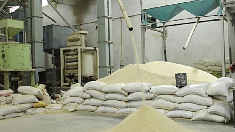 Imota Rice Mill Paddy