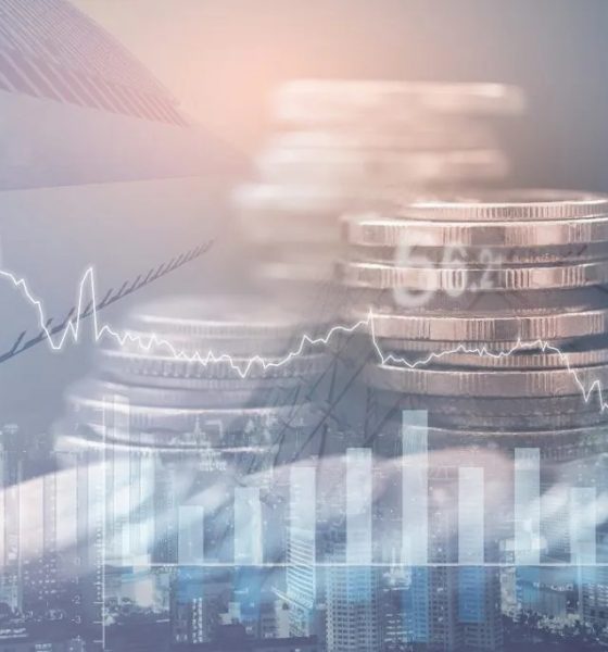 Nigeria's capital inflows