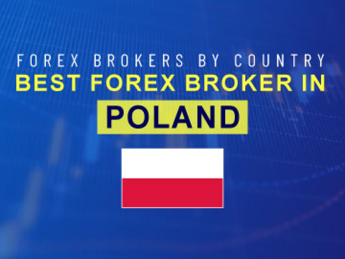 Badania eksperckie wyłoniły najlepszych brokerów Forex w Polsce w 2023 roku ||  Poczta biznesowa Nigeria