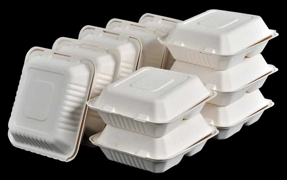 Foam Takeaway Packs