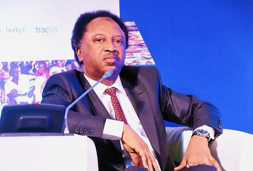 shehu sani legit.ng