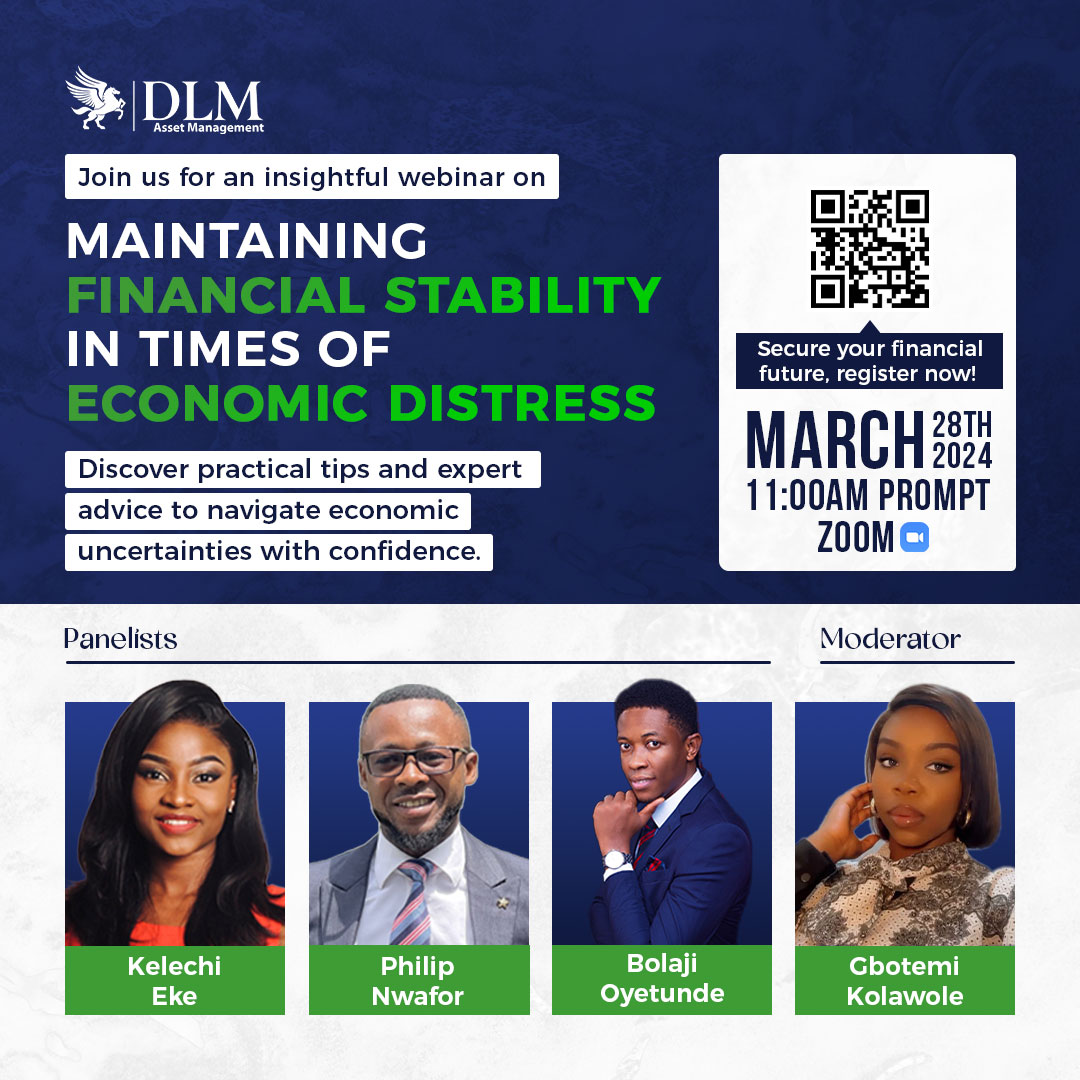 DLM Asset Management Financial Stability