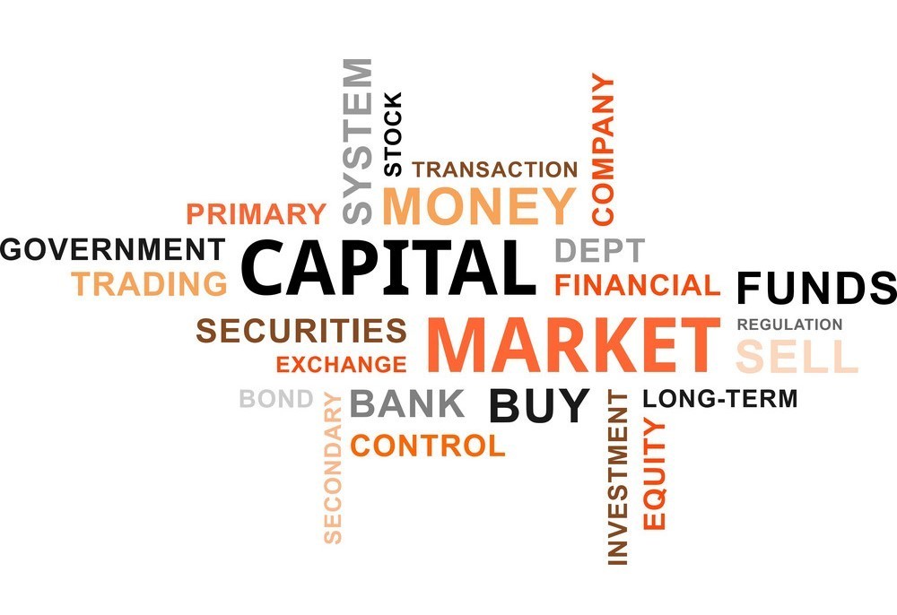 Capital Market Investment