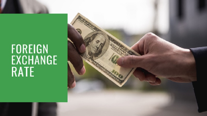 FX Rate To Remain Weak Till End Of 2024 CBN Survey Business Post Nigeria