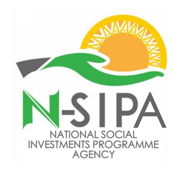 NSIPA