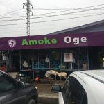 Amoke Oge Completes N2.3bn Orders on Chowdeck