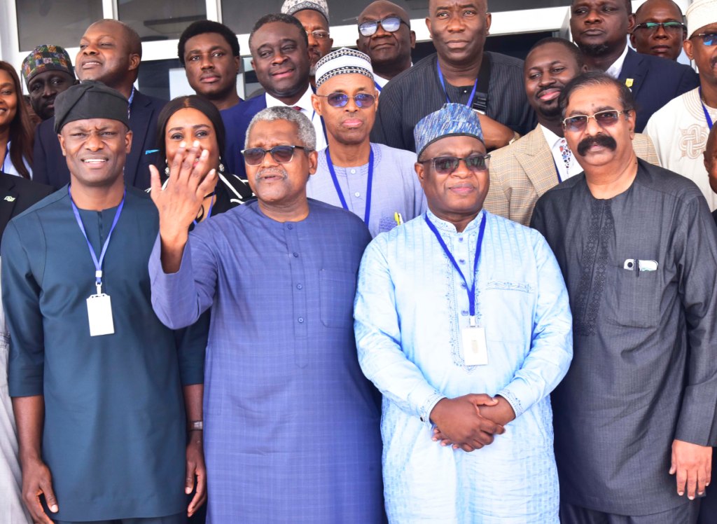 Dangote Fertiliser shares