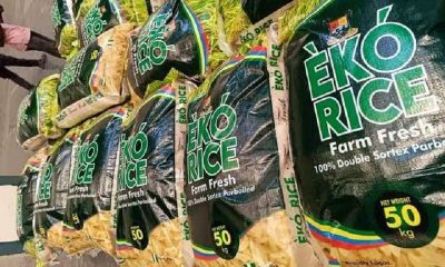 Eko Rice Contracts