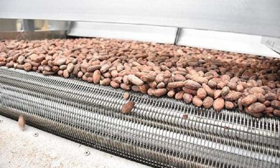 cocoa processing