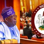 Senate Okays Tinubu’s N1.15tn Domestic Loan for 2025 Budget Deficit