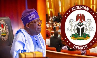 tinubu senate
