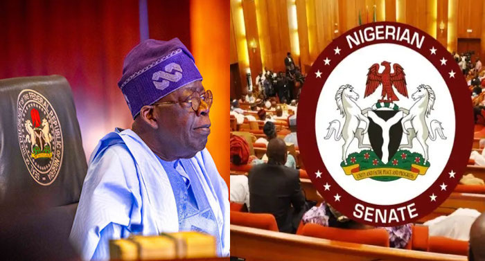 tinubu senate