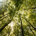 Credo Assurance Earns ESG Certification to Support Sustainability Reporting