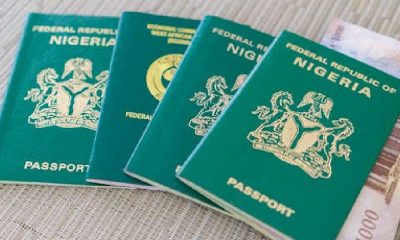 Biometric Single Travel Emergency Passport