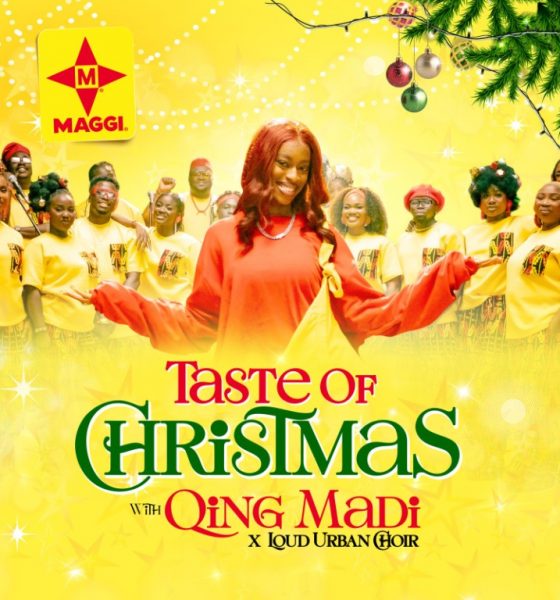 MAGGI Taste of Christmas