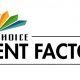 MultiChoice Talent Factory