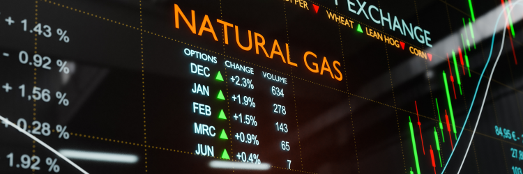 Natural Gas Trade