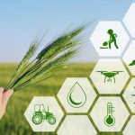AI in Agriculture, Retail Sectors May Lead to Double Digit Growth by 2035