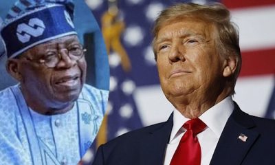 trump nigeria