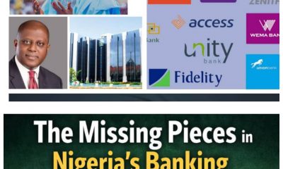 Nigeria’s Banking Recapitalisation