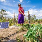 Nigeria to Benefit from $50m World Bank Solar Agric Project