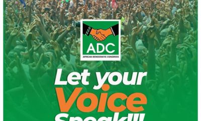 african democratic congress ADC