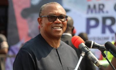 peter obi tax system