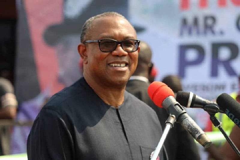 peter obi tax system