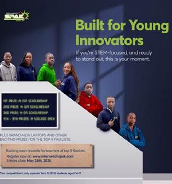 Entries for InterswitchSPAK 8.0