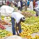 Ikosi Fruit Market Biodigester