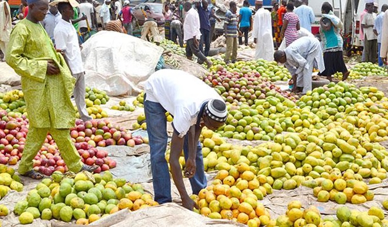 Ikosi Fruit Market Biodigester