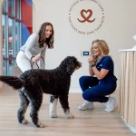 Modern Veterinary Clinics For Advanced Pet Care