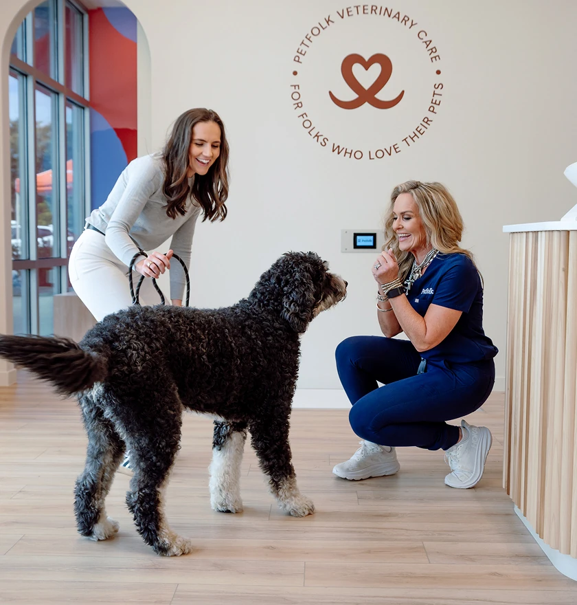 Petfolk Veterinary