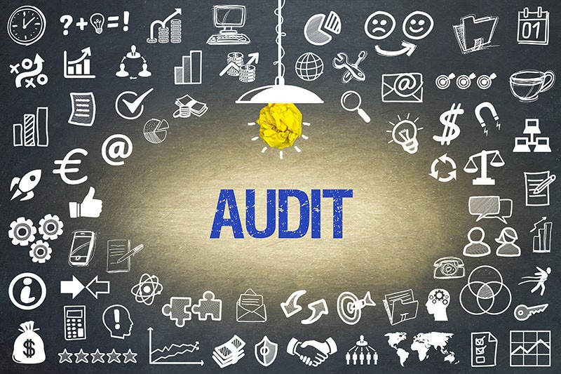 audit firm