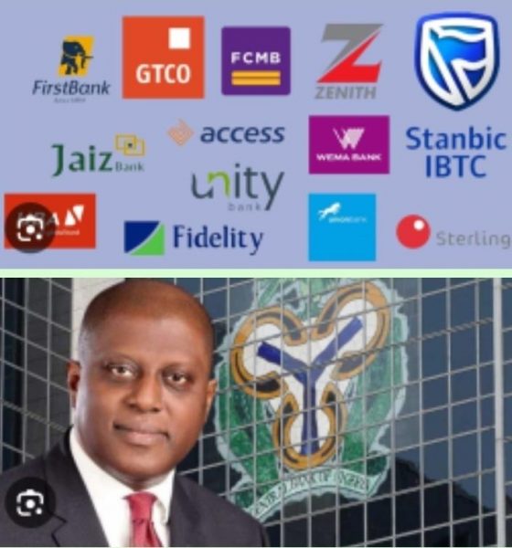 cbn gov. banks recapitalisation