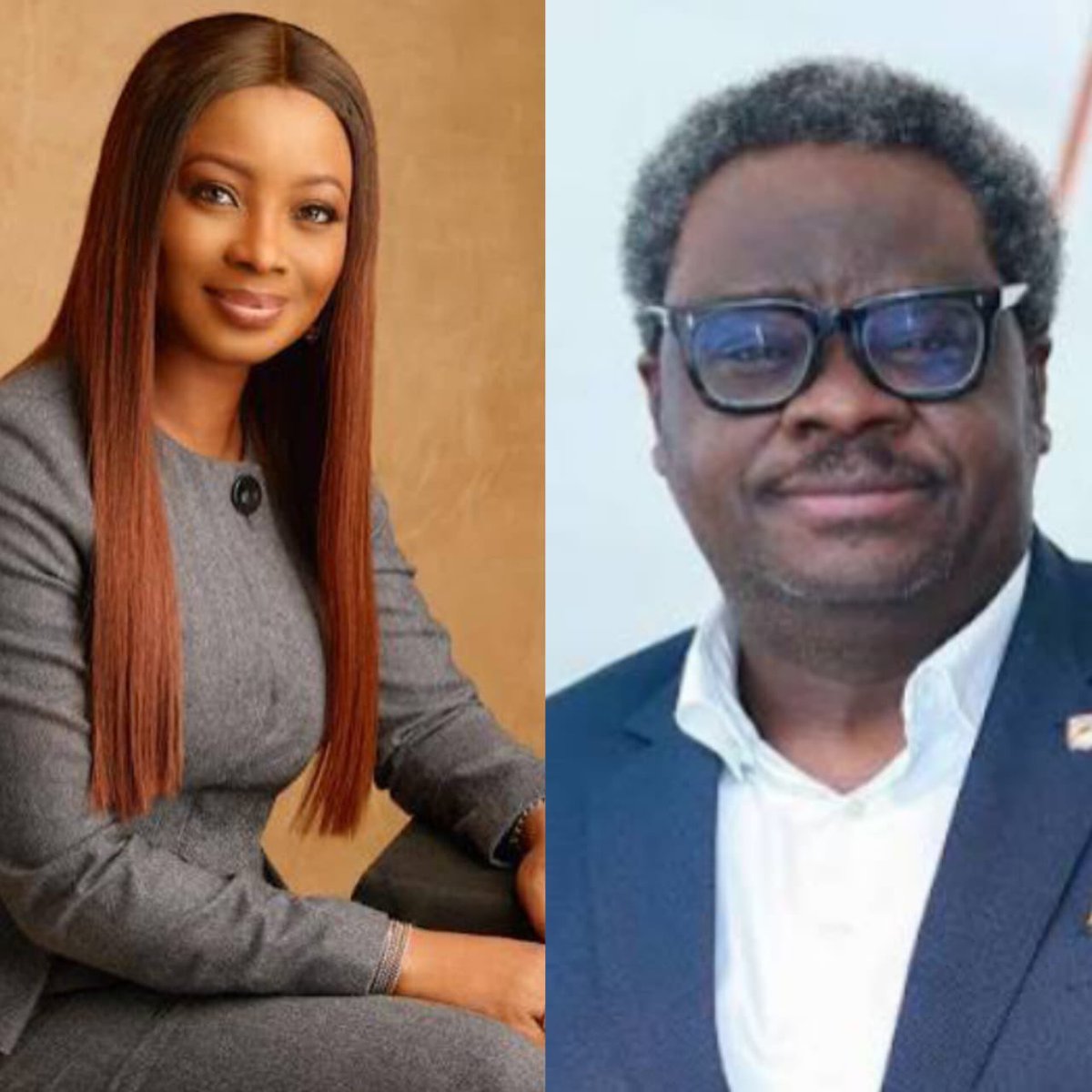 folake soetan kola adesina Ikeja Electric