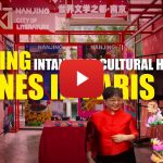 An Encounter with China: Chinese New Year in Paris: Nanjing Intangible Cultural Heritage Shines
