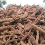 Measures at Ensuring Africa’s Food Sovereignty