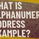 alphanumeric address example