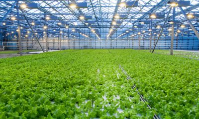 greenhouse technology