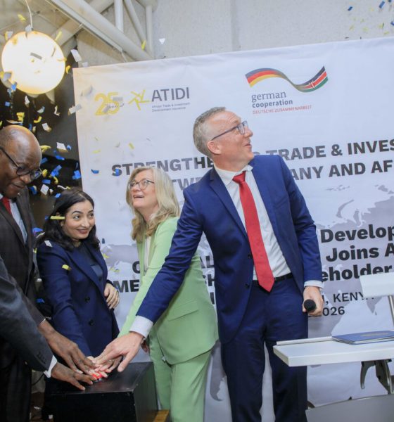 ATIDI KfW Development Bank