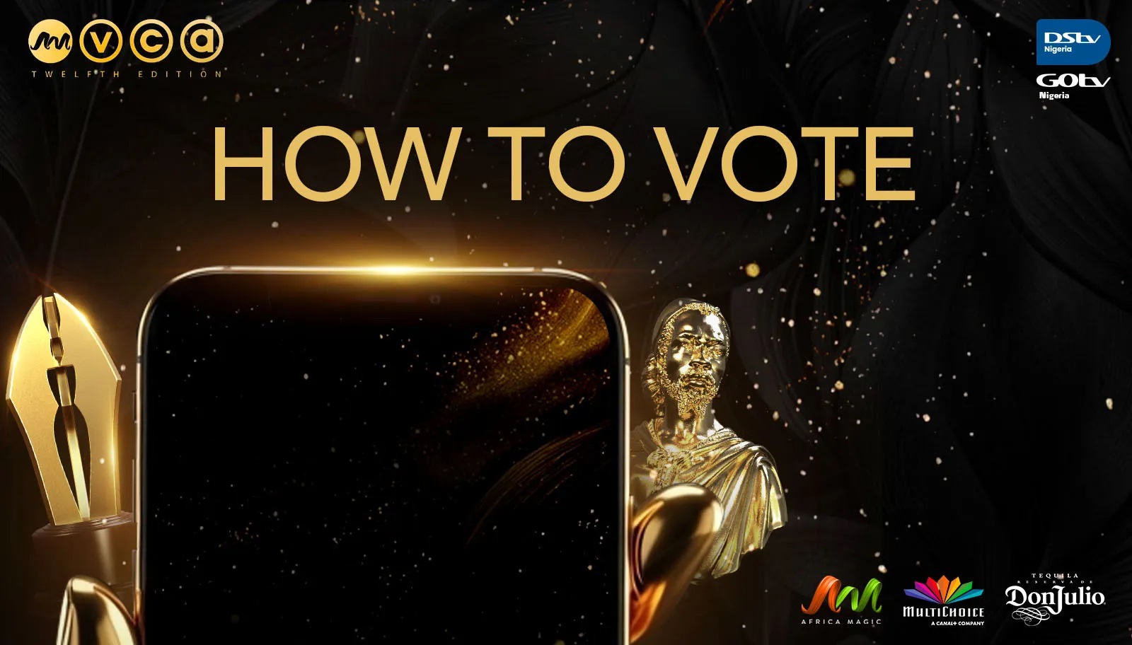 How to Vote in AMVCA 12