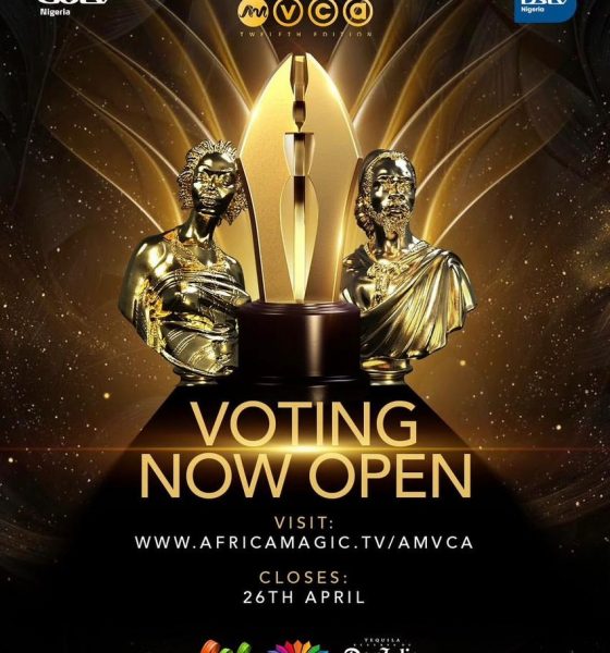 Vote for AMVCA 12
