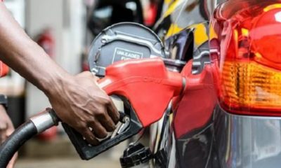 daily petrol consumption