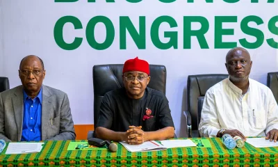 david mark adc chairman